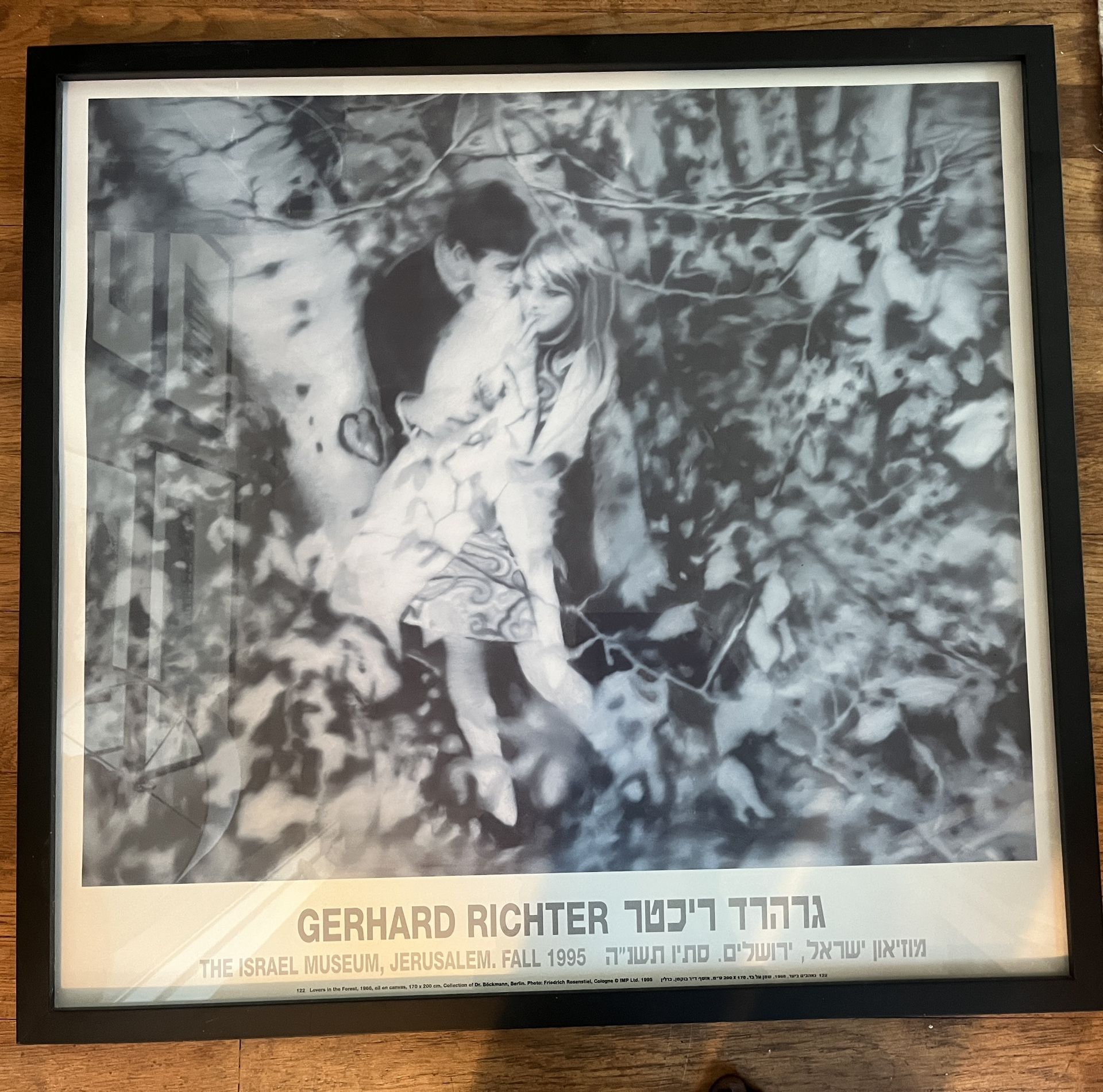 Gerhard Richter Photo - "Lovers in the Forest" - 28"x 30 Framed -1996 Cash Only