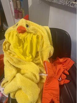 Chicken costume