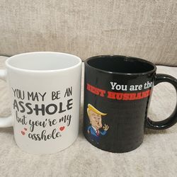 2 Sarcastic Mug For Husband, Perfect Gift For Husband