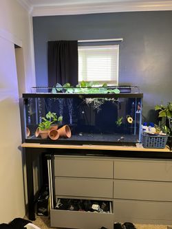 75 Gallon Aqueon Aquarium Fish Tank