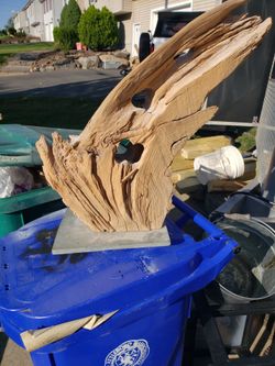 Drift Wood