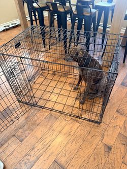 Large Wire Dog Crate / Kennel – Collapsible, Great Condition