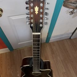 Ibanez 12 String 