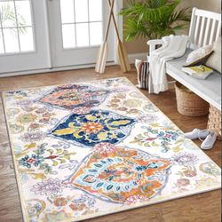 SARAG 4X 6 Area Rug for Living Room