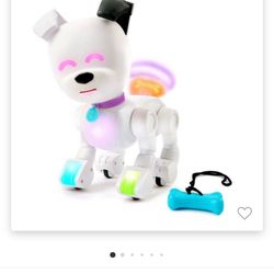Dog-E  Robot Dog