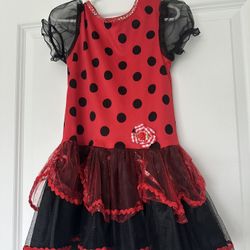 Toddler 3-4T Ladybug Costume 