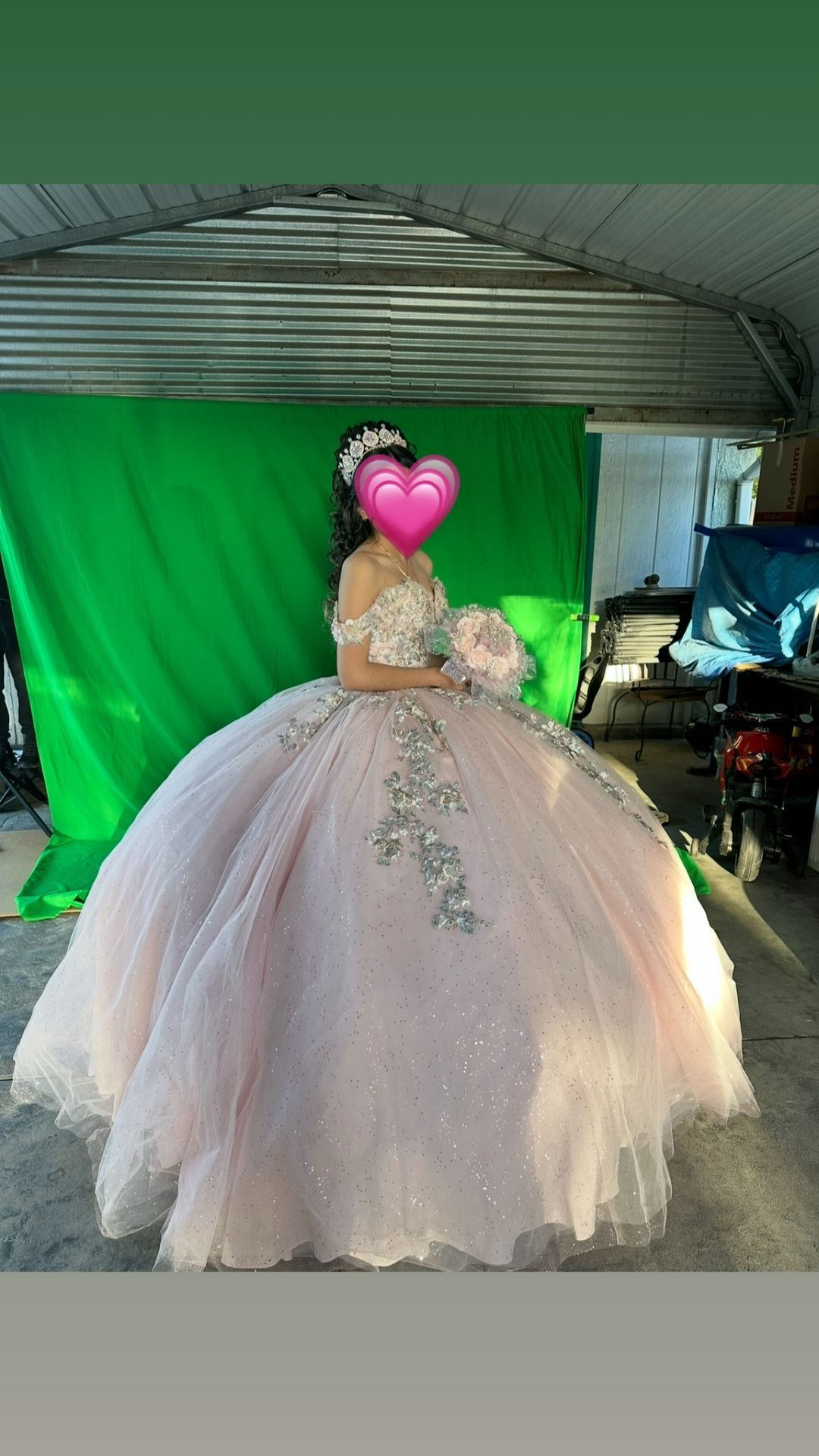 Quinceañera Dress