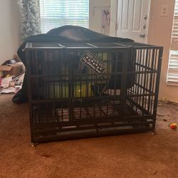 Cage For Dogs 