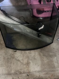 Bow Front tank