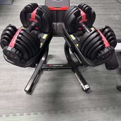 Bowflex Adjustable  Weights  With Stand & Bench 