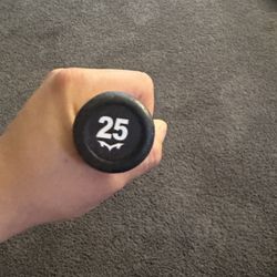 Monsta Black Widow Softball Bat 