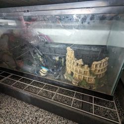 55 gallon tarrarium