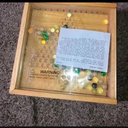 Chinese Checker Game 