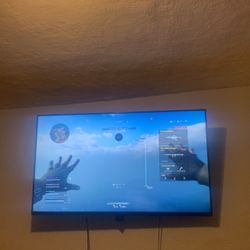 Tv And Mount 