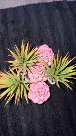 Plastic purple succulents 6pk