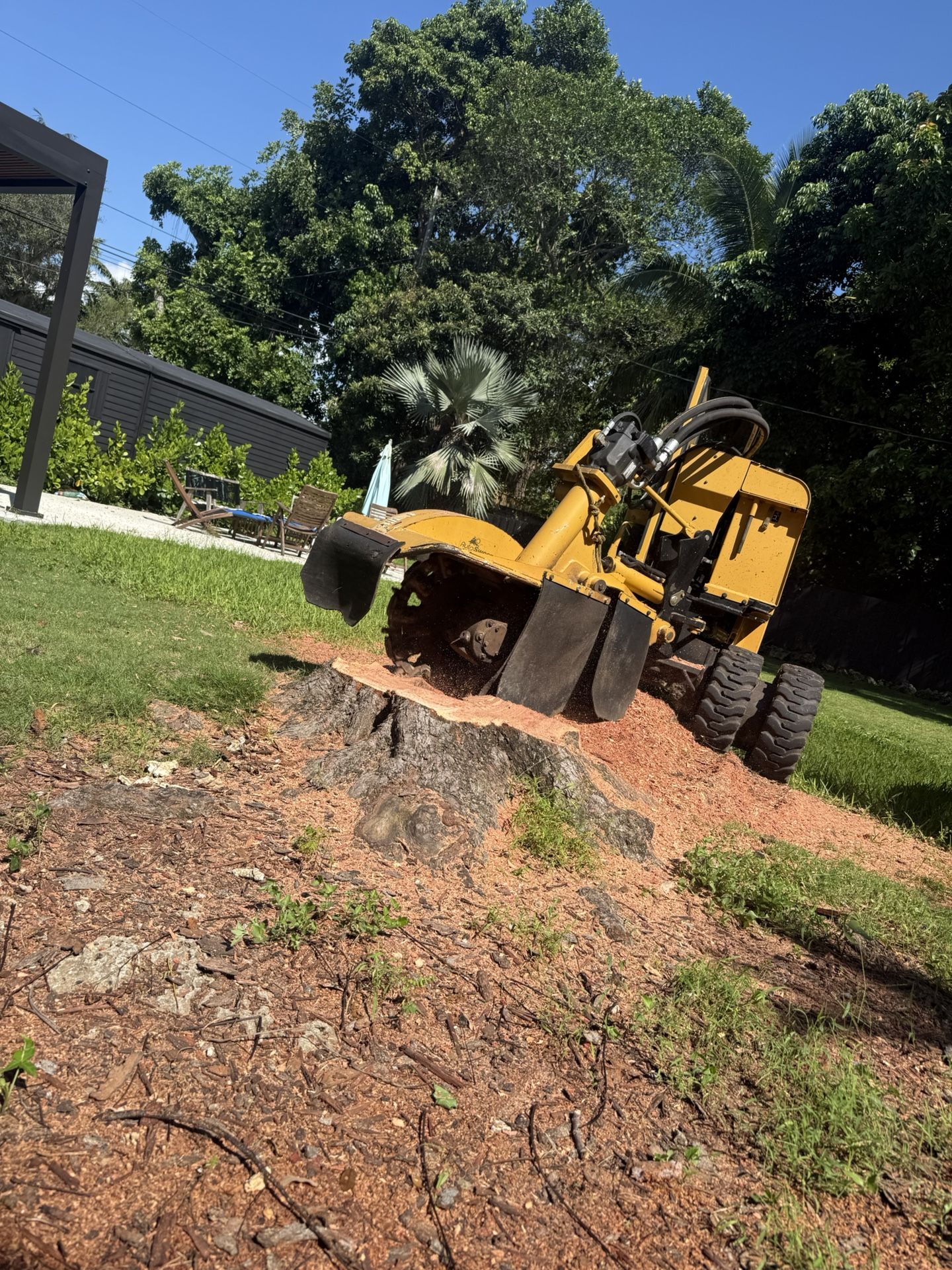 Stumps Grinding Molemos Troncos Y Raises