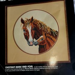 Mare & Foal Stamped Cross Stitch Kit Vintage