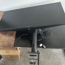 Monitor With Arm Mount 