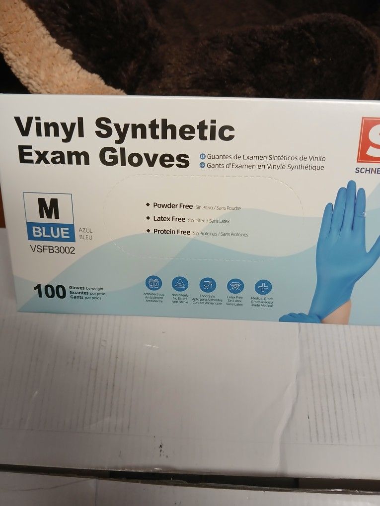 Vinyl Gloves (M)