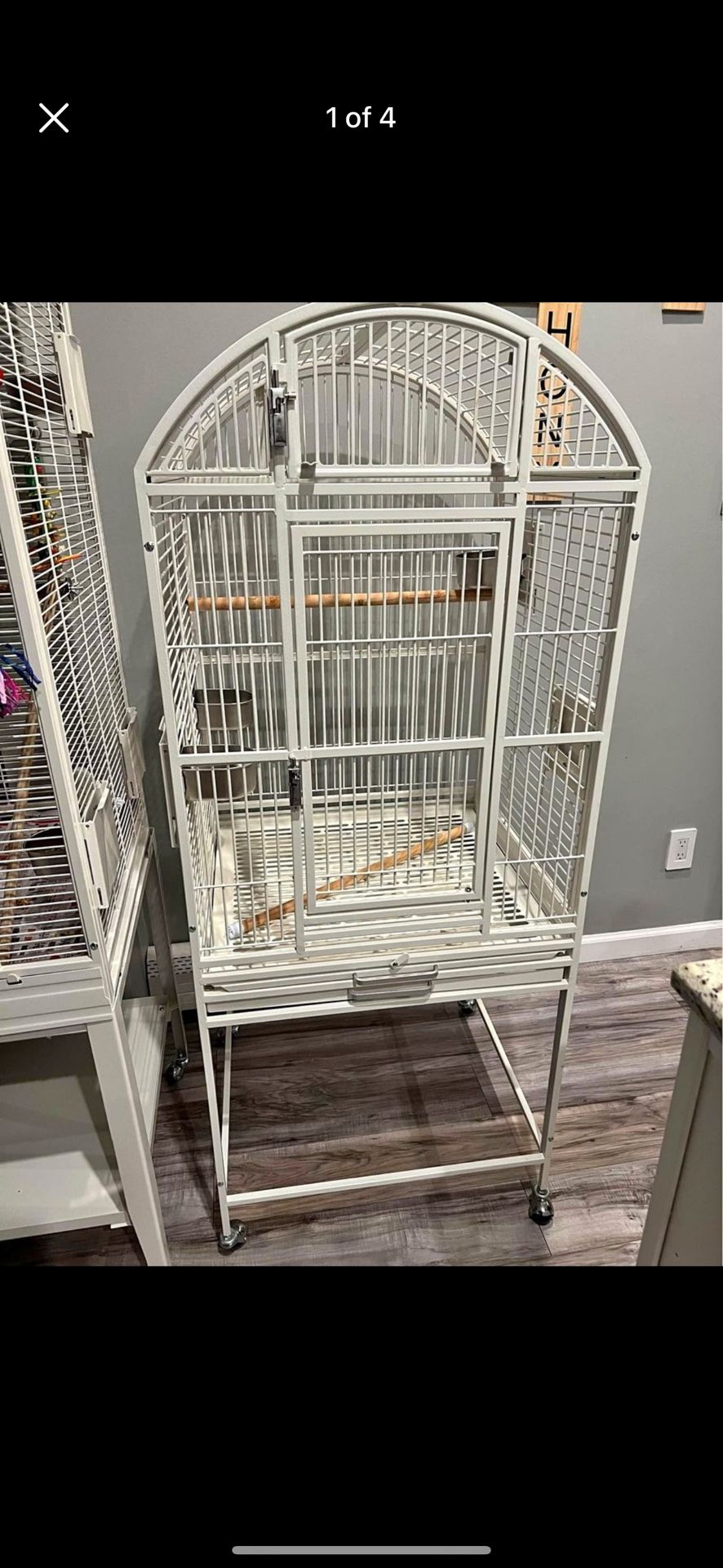 Kings Bird Cage White