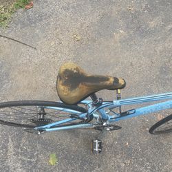 Trex Bike