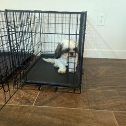 Small Dog Cage