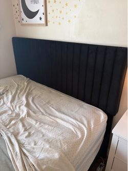 Black Velvet Upholstered Platform Queen Bed