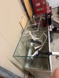 70 gallon saltwater fish tank