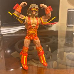 WWE Action figure