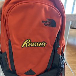  Northface connector backpack