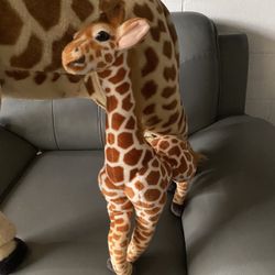 Safari Animals For Sale