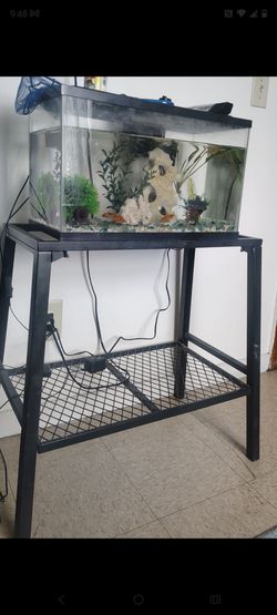 Pecera fish tank