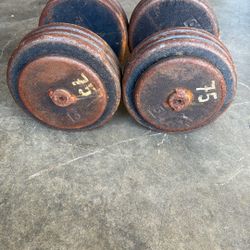 75 Pound Weights Set 