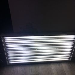 4x4x7 Grow Tent, Lights, And Filtration System