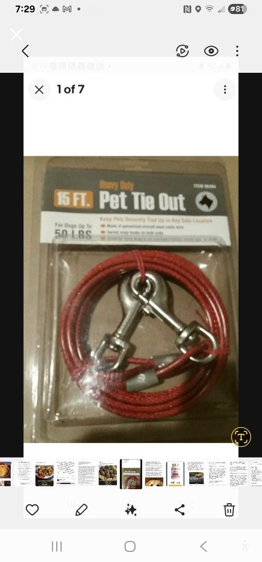 Tie Out, 15', New
