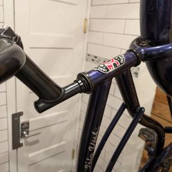 Fixed Gear Cruiser Bike