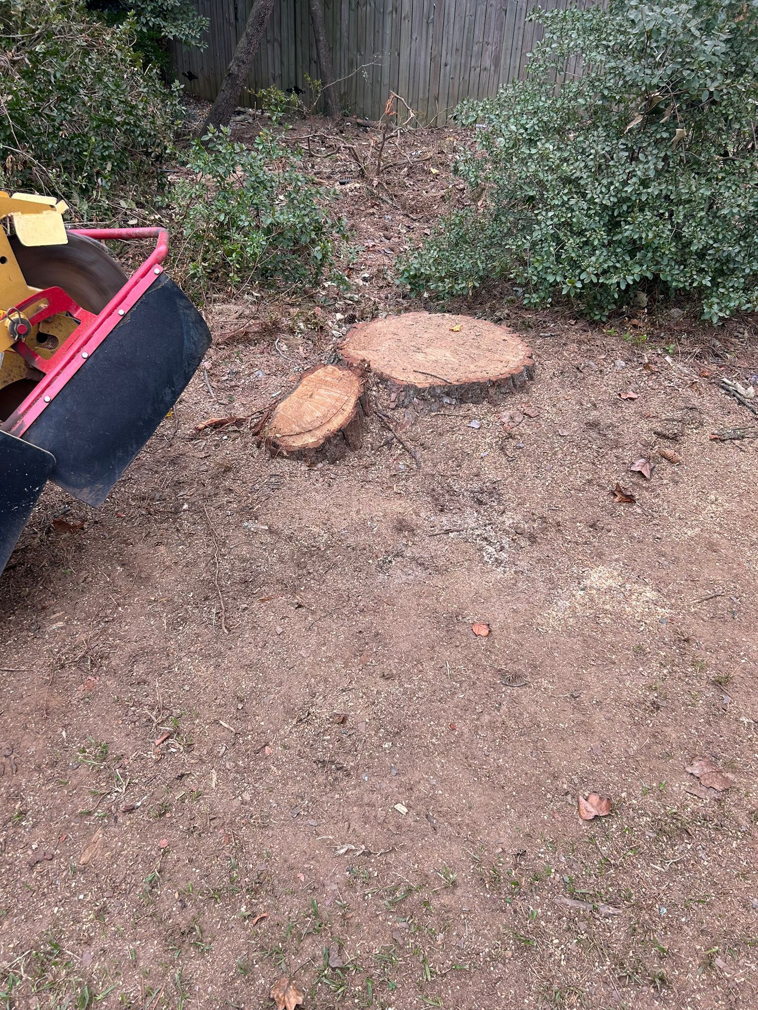 Stump Grinding
