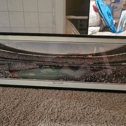 Reds Framed Photo
