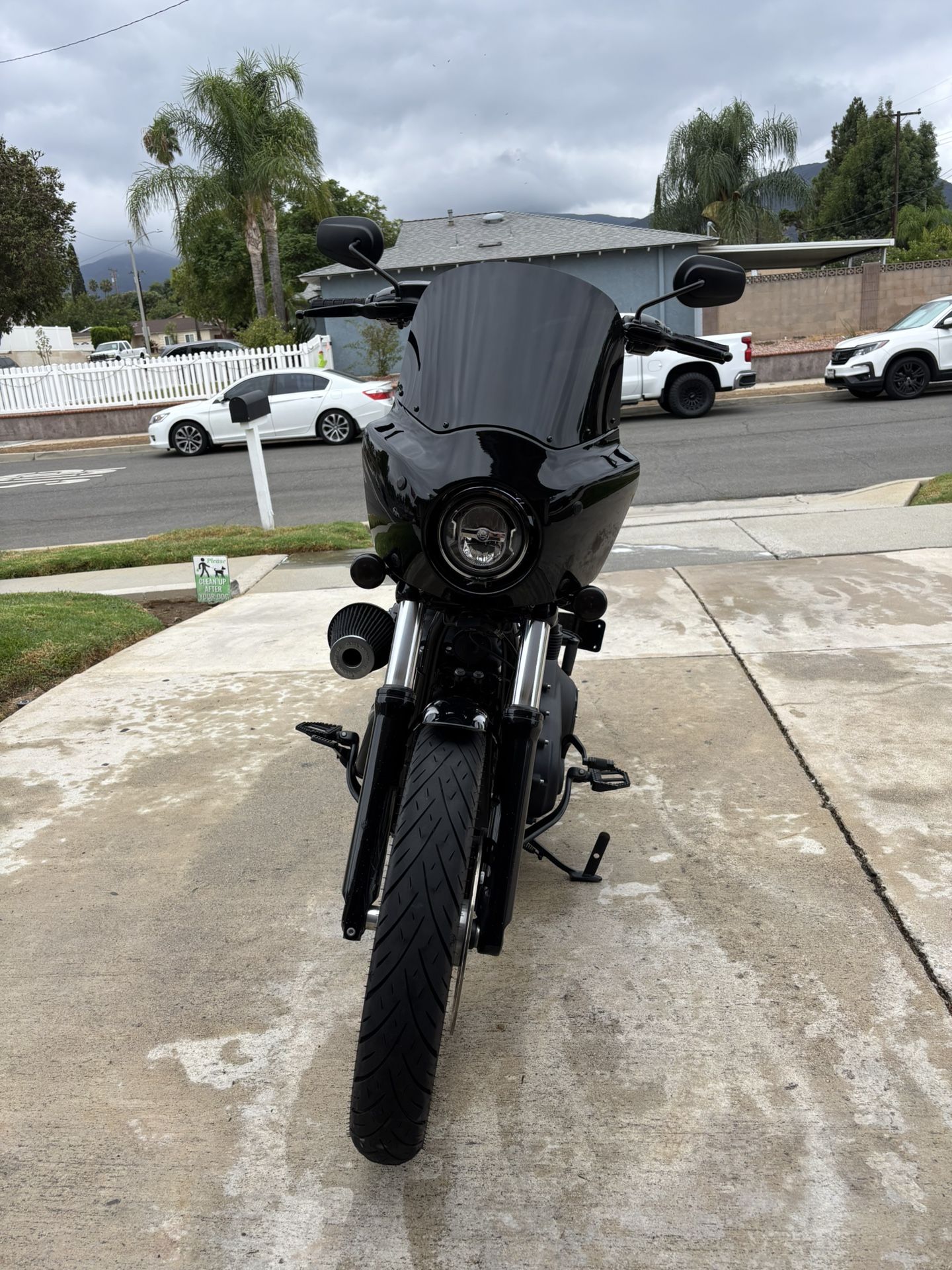 2019 Harley Davidson Street Bob