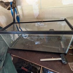 Aquarium  15 To 20 Gallon Tank 