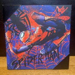 Spiderman Canvas Art