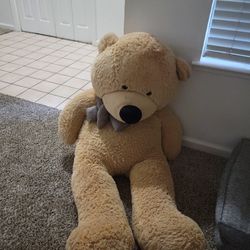 Big Big Teddy Bear 
