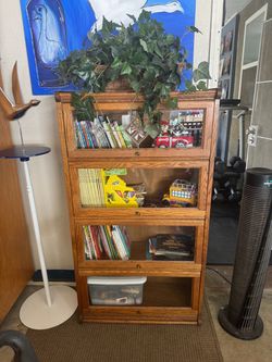 Beautiful lawyer's bookcase)