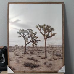 Threshold Desert Dream Framed Print