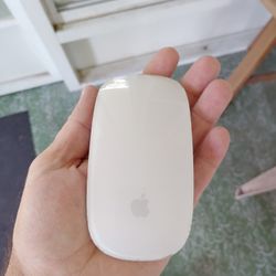 Apple Mouse 