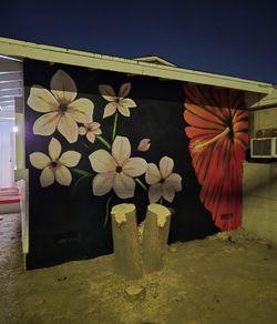 MURALS & SIGNS . PAINTING. ART