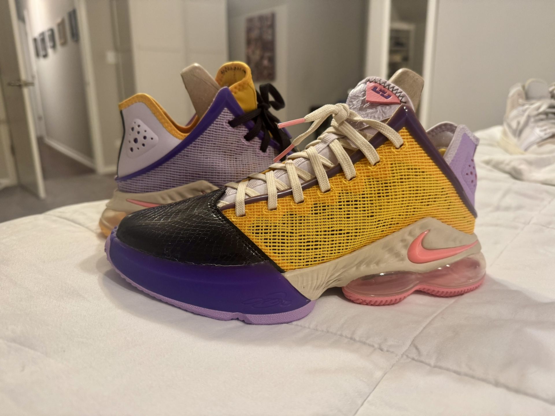 Nike Lebron XIX Low EP Mismatch Basketbal DO9828-500