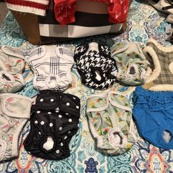 Small And medium Dog Items . 