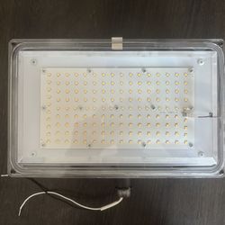 Amax Led Outdoor Light