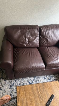 Comfy lounge